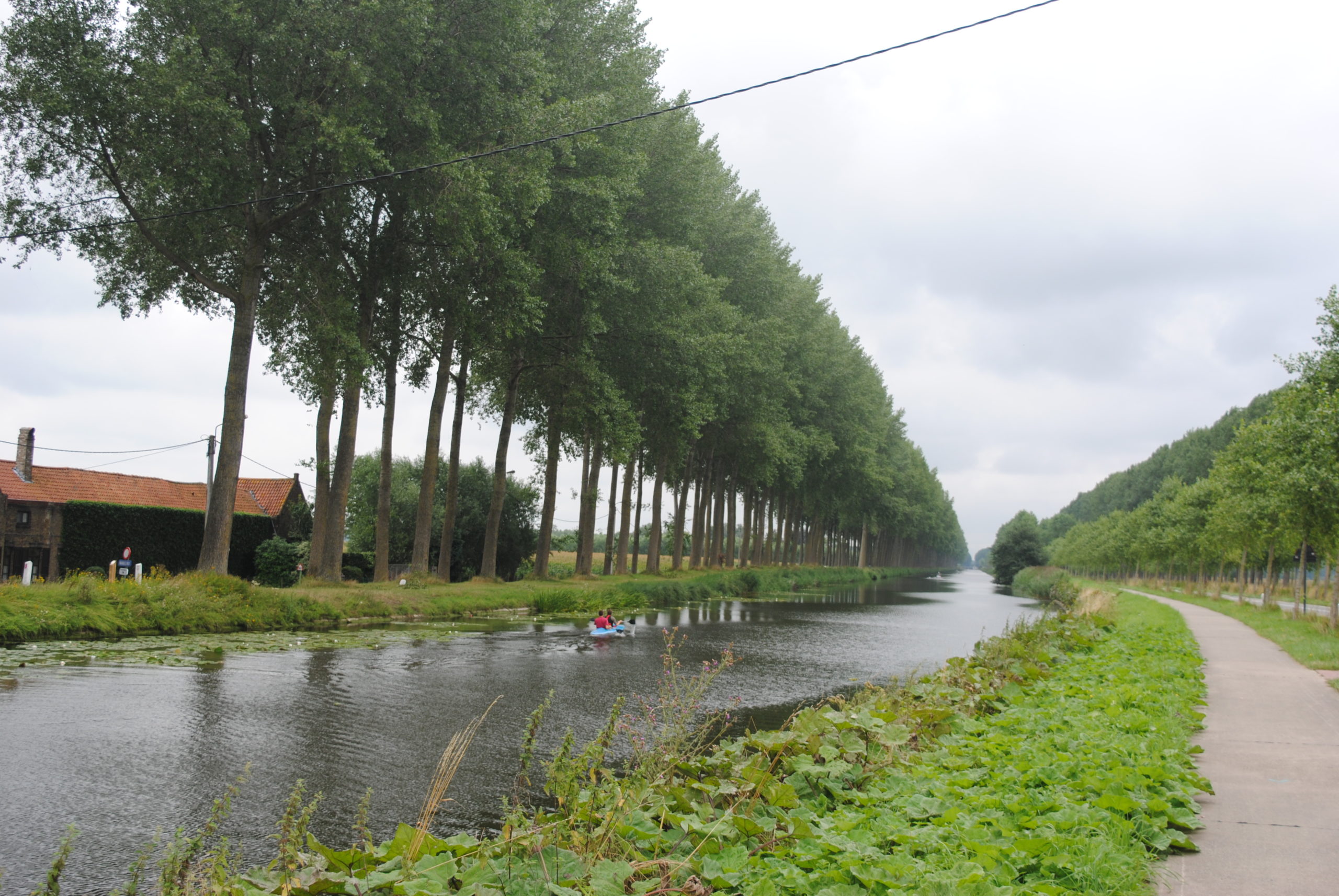Tijdelijk zwemverbod in zwemzone Damse Vaart in Brugge door blauwalgen