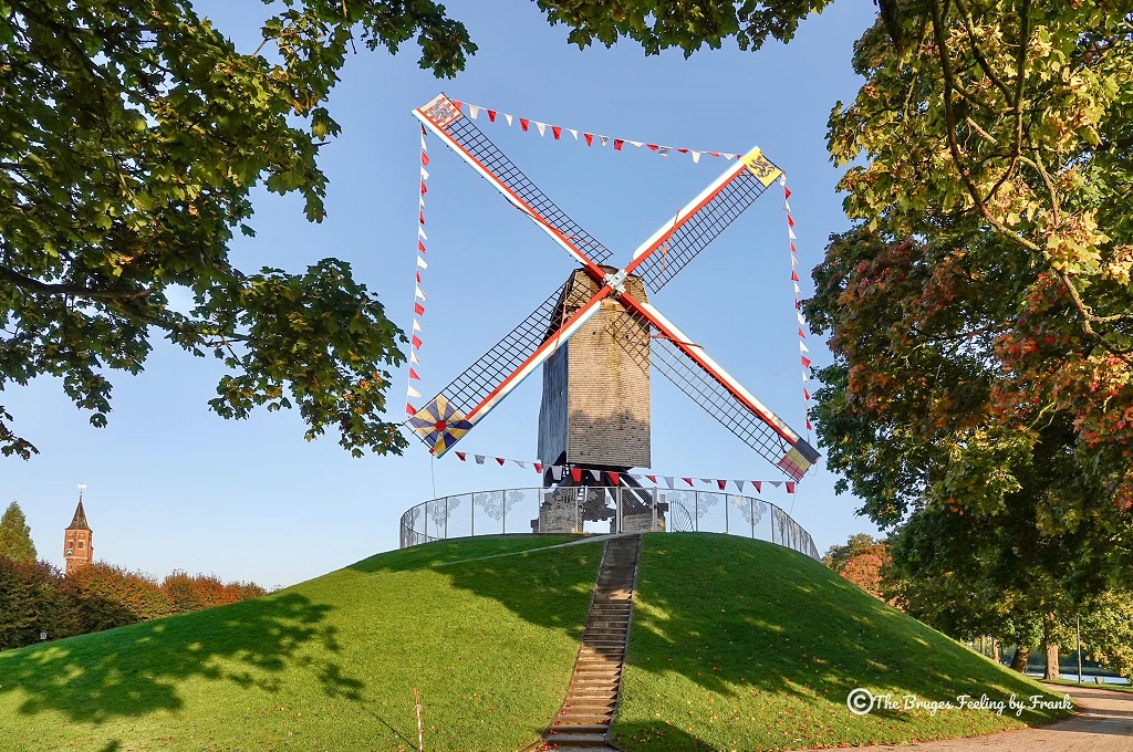 Brugse molen mooi bevlagd