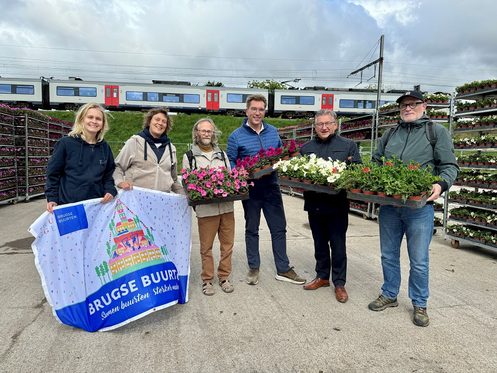 Brugse bebloemingsactie laat 92.000 bloemen stralen in meer dan 200 buurten