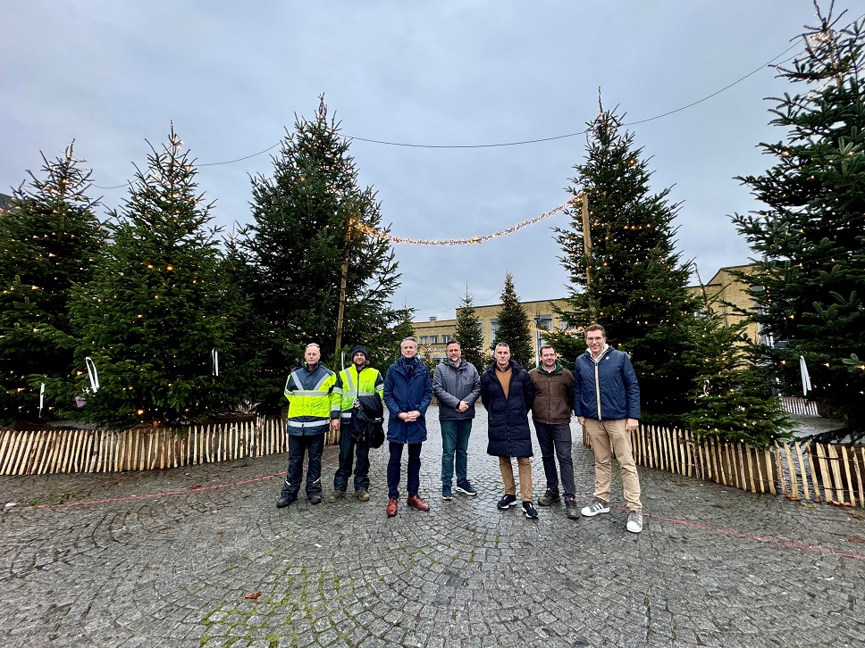 Nieuw kerstbomenbos brengt warmte en licht aan Brugse station