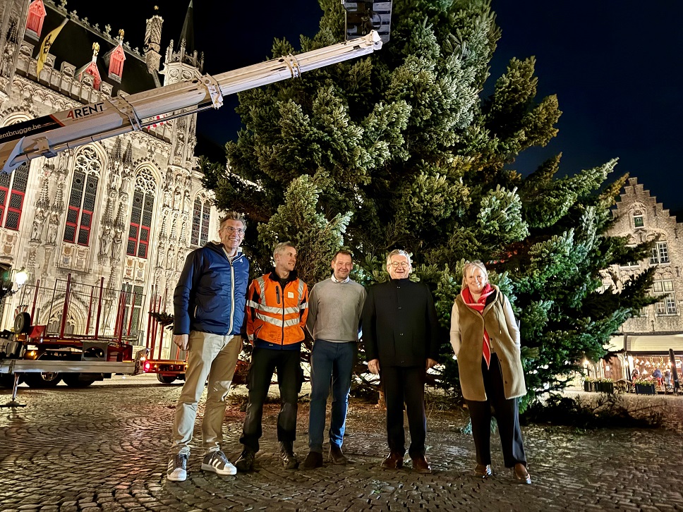 Brugge bereidt zich voor op eindejaarsperiode: boom van 15 meter op de Burg aangekomen