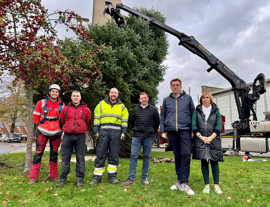 Brugge Sint-Pieters krijgt een nieuwe kerstboom dankzij schenking bewoner