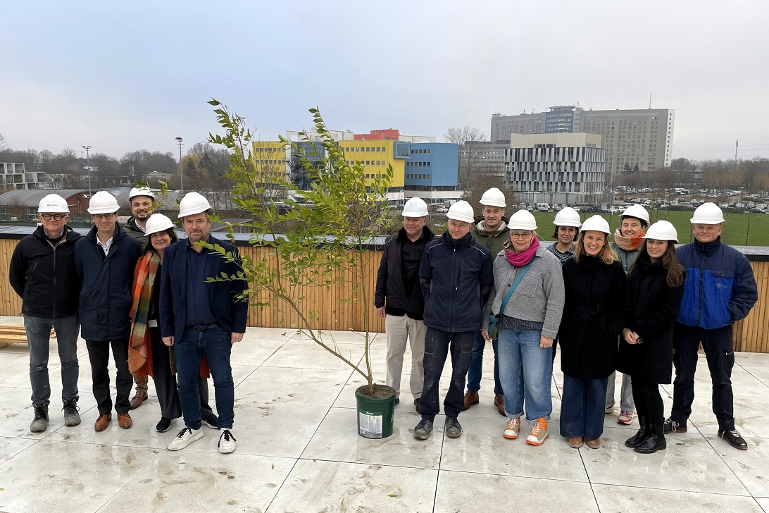 Meiboom op bouwproject centrale keuken Ruddersstove in Brugge