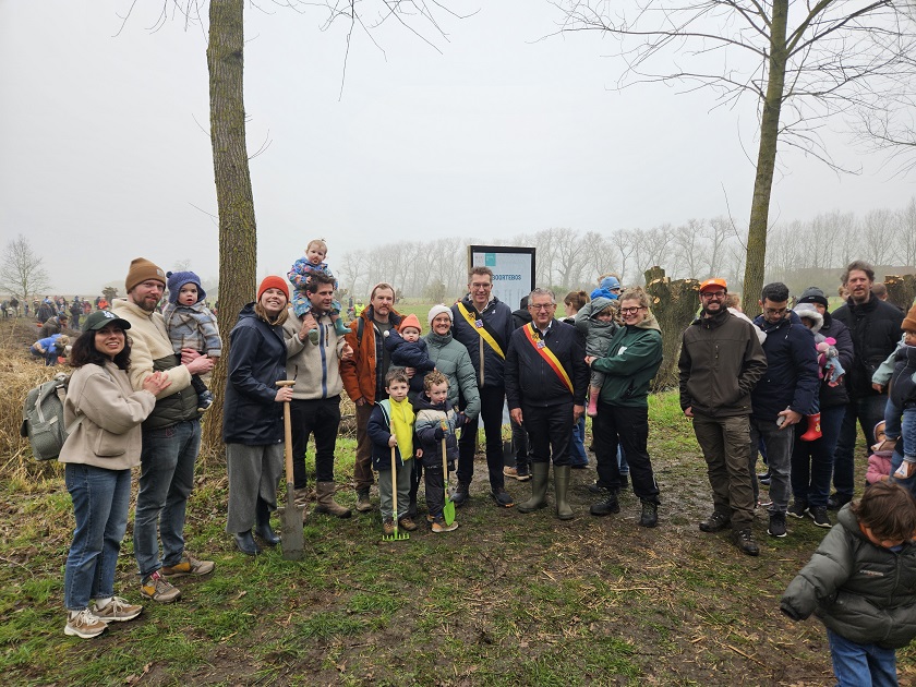 Plantactie geboortebos in Brugse wijk Kruisabele