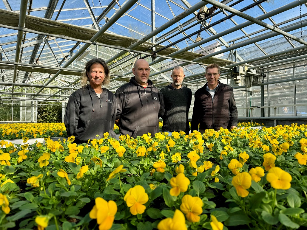 Voorbereiding winterbeplanting 2027 gestart in Brugge